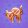 Scared Cat #18057