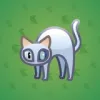Scared Cat #18121