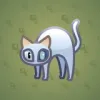 Scared Cat #18176
