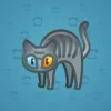 Scared Cat #18312