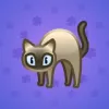 Scared Cat #18318