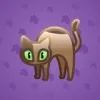 Scared Cat #18408