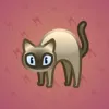 Scared Cat #18521