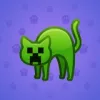 Scared Cat #18567