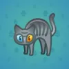 Scared Cat #18631