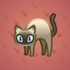 Scared Cat #1938