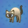 Scared Cat #2108