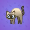 Scared Cat #227