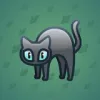 Scared Cat #2421