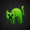 Scared Cat #2644