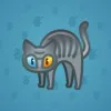 Scared Cat #2690