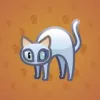 Scared Cat #2774