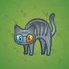 Scared Cat #2871