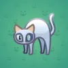 Scared Cat #2904