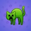 Scared Cat #2922