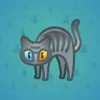 Scared Cat #2972