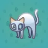 Scared Cat #3019