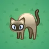 Scared Cat #3065
