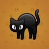 Scared Cat #325