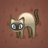 Scared Cat #348