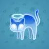 Scared Cat #3527