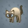 Scared Cat #370