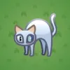 Scared Cat #371