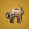 Scared Cat #3776