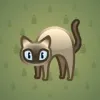 Scared Cat #3777