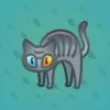 Scared Cat #3793