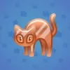 Scared Cat #4252