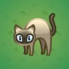 Scared Cat #4514