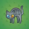 Scared Cat #4649