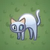 Scared Cat #4668