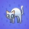 Scared Cat #4701