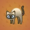 Scared Cat #4844