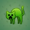 Scared Cat #4892