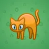 Scared Cat #4900