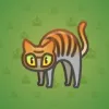 Scared Cat #4909