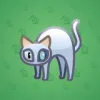 Scared Cat #493
