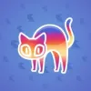 Scared Cat #4972