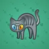 Scared Cat #5025