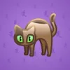 Scared Cat #5033