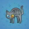 Scared Cat #5052