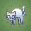 Scared Cat #5079