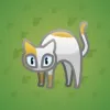 Scared Cat #516