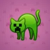 Scared Cat #5162