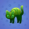 Scared Cat #5169