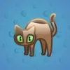 Scared Cat #5202