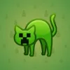 Scared Cat #5297
